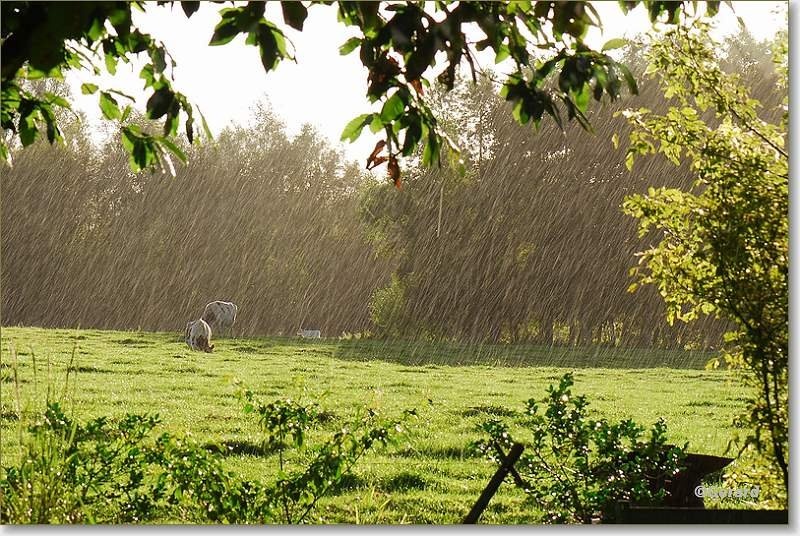 Zon en regen in de Achterhoek.JPG - Zon en regen in de Achterhoek